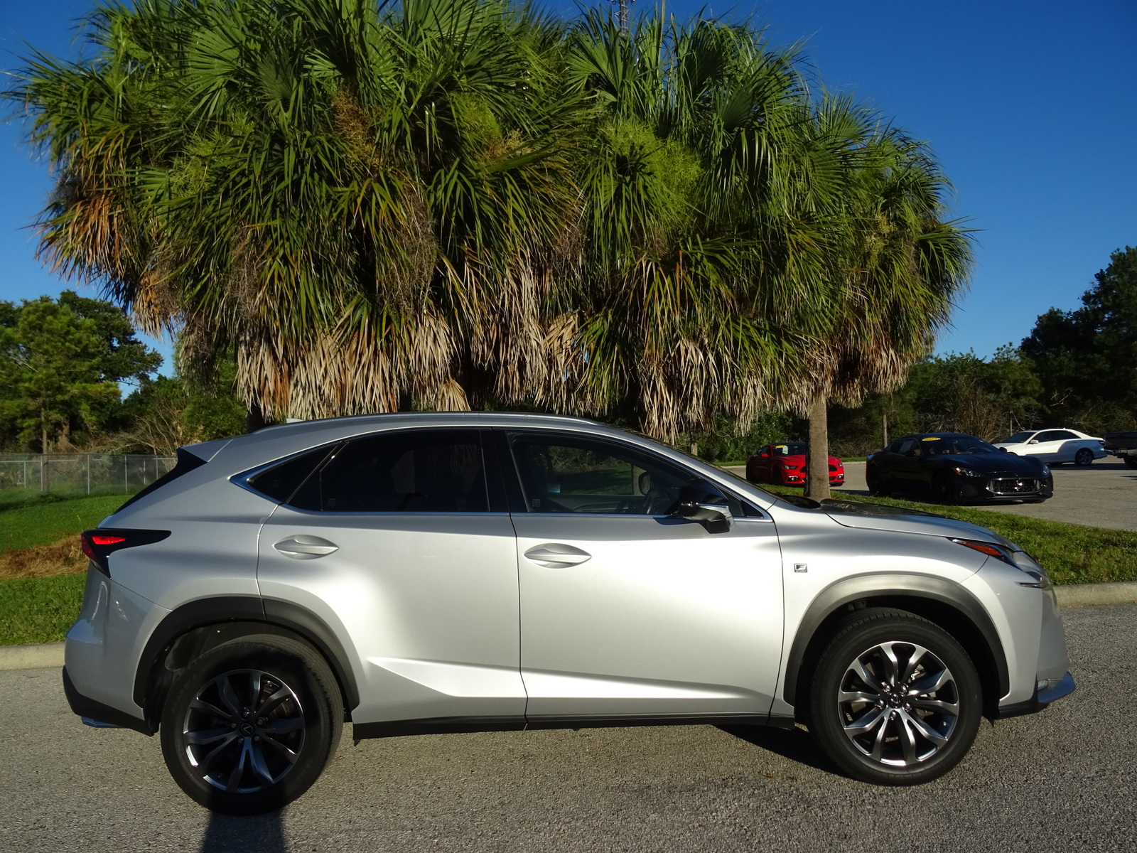 wilde lexus wilde lexus