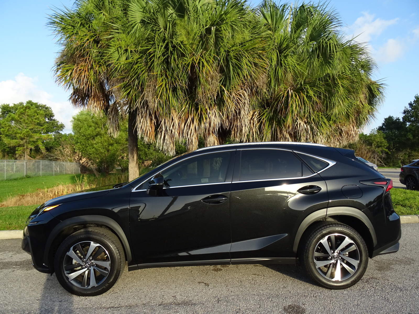 Lexus nx 300 2019